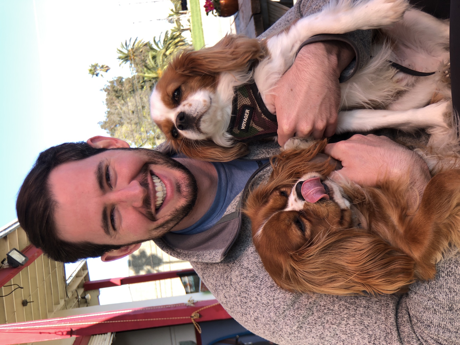 CJ sitting outside with Cavalier King Charles spaniels Atlas and Theo